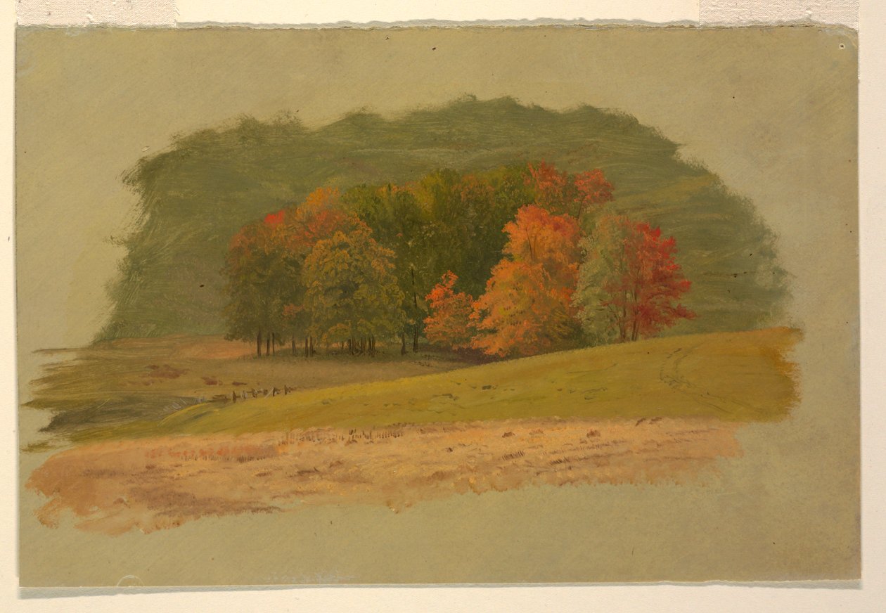 Herbstlandschaft von Frederic Edwin Church