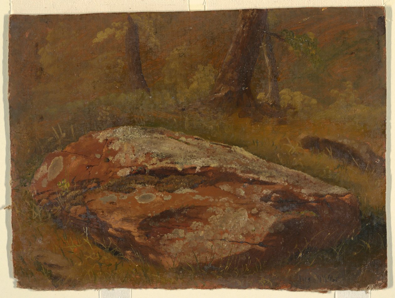 Moosiger Felsen von Frederic Edwin Church