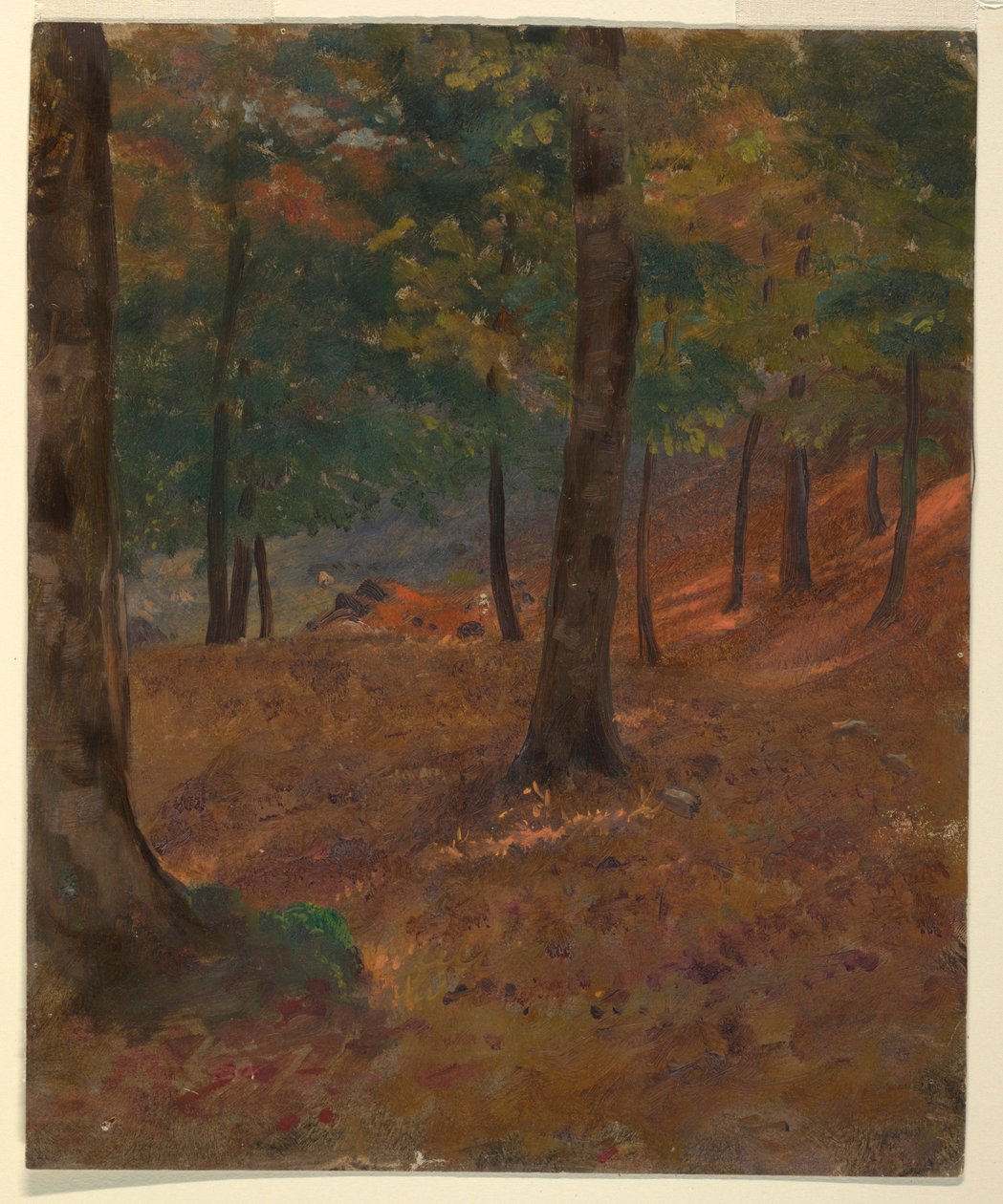 Zeichnung, Waldszene, 1870–80 von Frederic Edwin Church