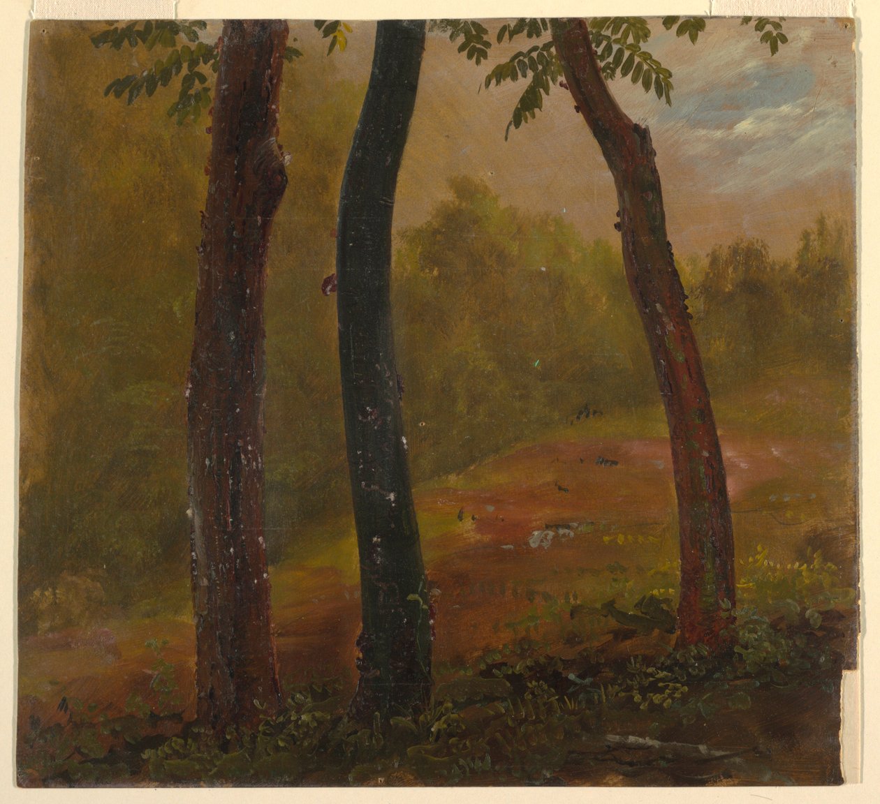 Zeichnung, Waldszene, Jamaika, 1865 von Frederic Edwin Church