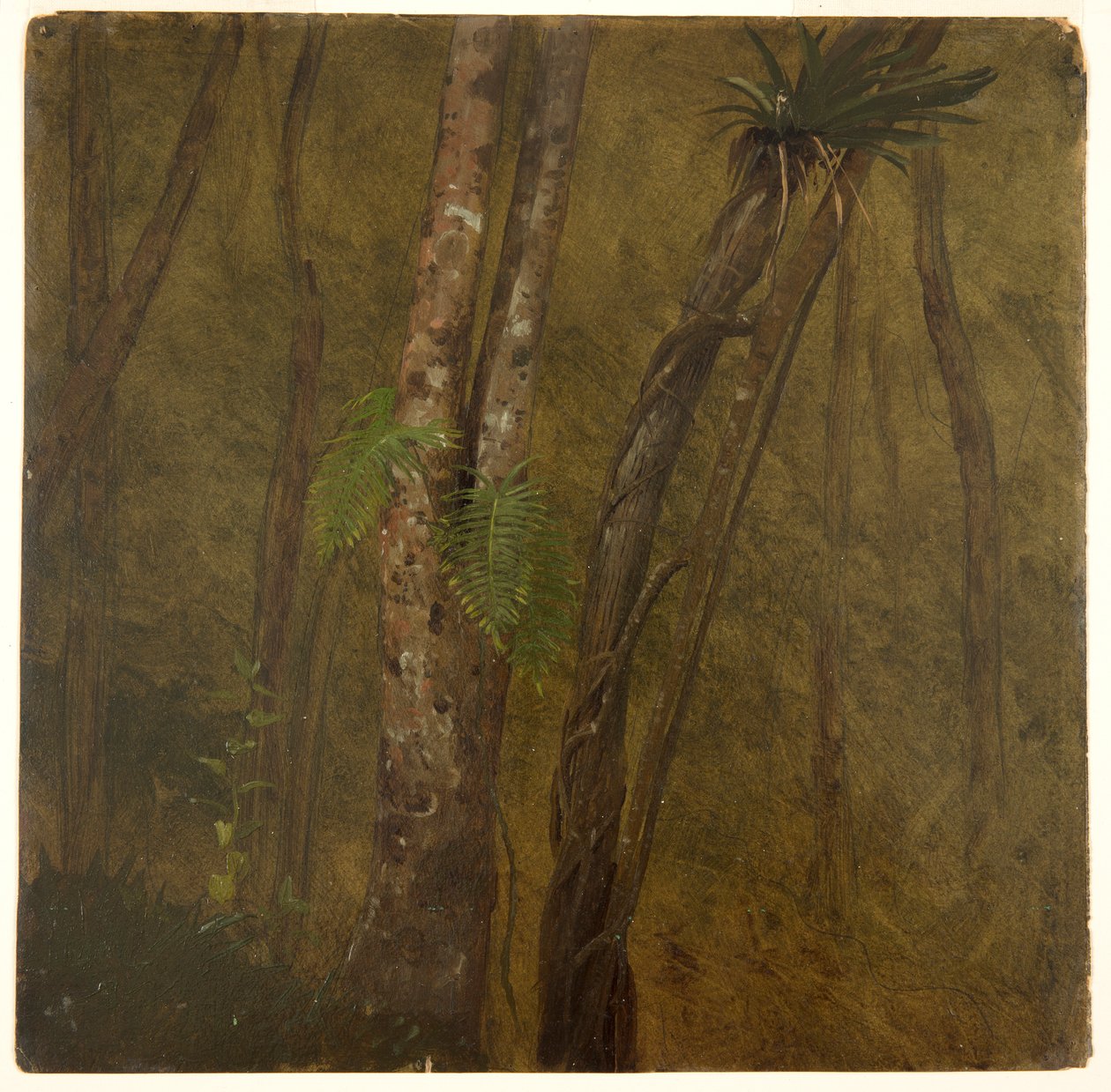 Landschaft in Jamaika von Frederic Edwin Church