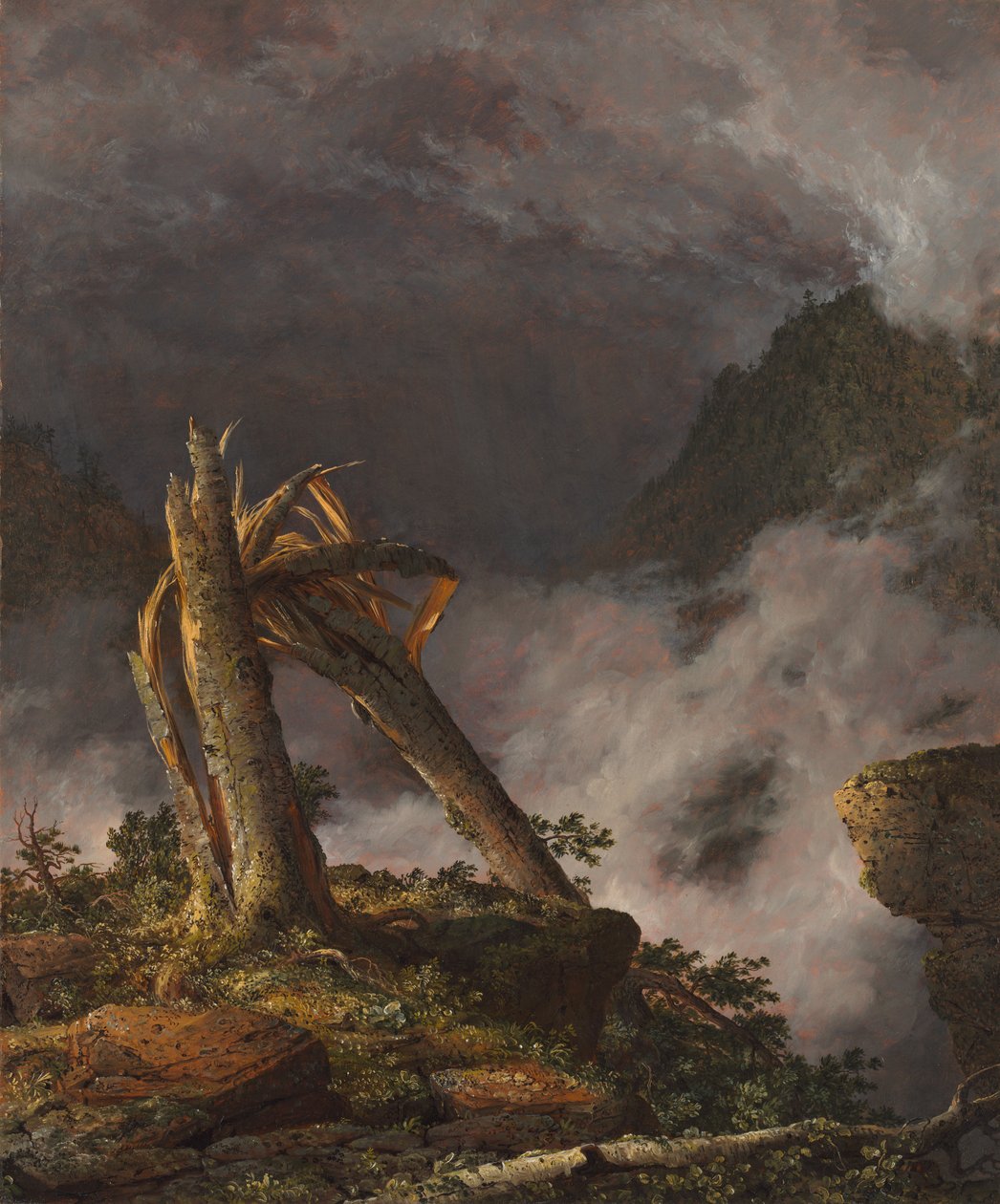 Sturm in den Bergen, 1847 von Frederic Edwin Church
