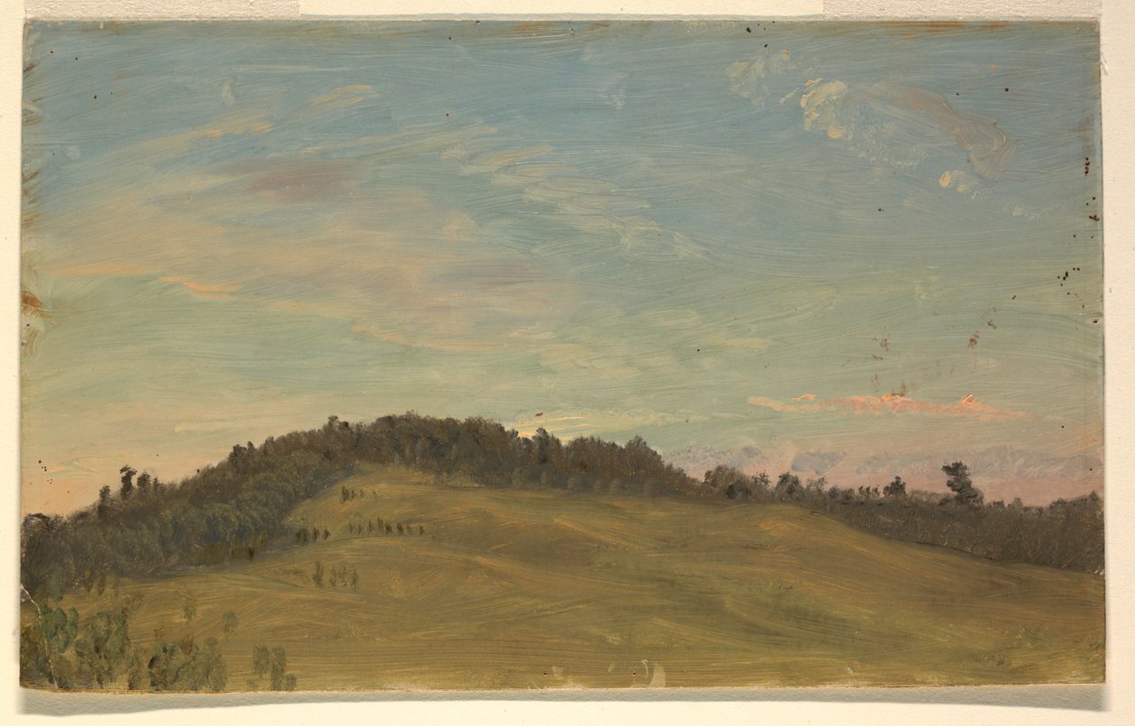 Sommerlandschaft von Frederic Edwin Church