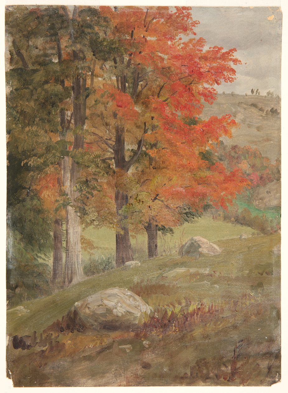 Wälder im Herbst von Frederic Edwin Church