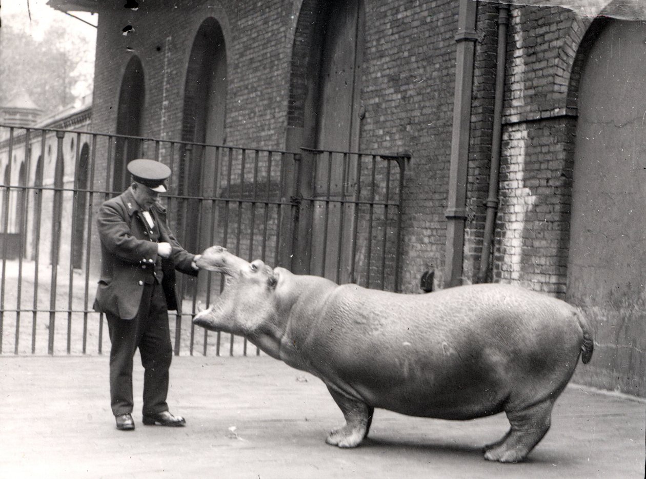 Ernie Bowman und Bobbie im Londoner Zoo, 1923 von Frederick William Bond