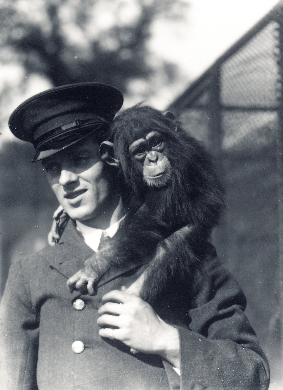 Wärter F. Shelly mit Schimpanse Johnnie oder Marco im ZSL London Zoo von Frederick William Bond