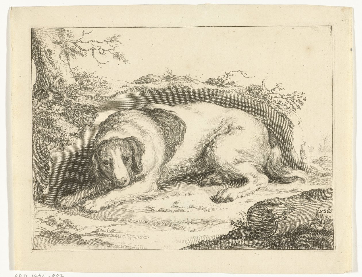 Spaniel von Frederick Bloemaert