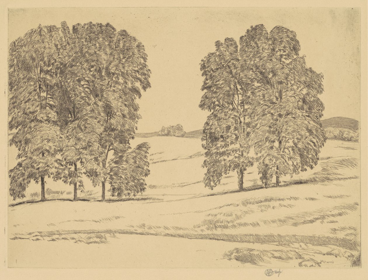 Hickories in einem Heufeld, 1917 von Frederick Childe Hassam