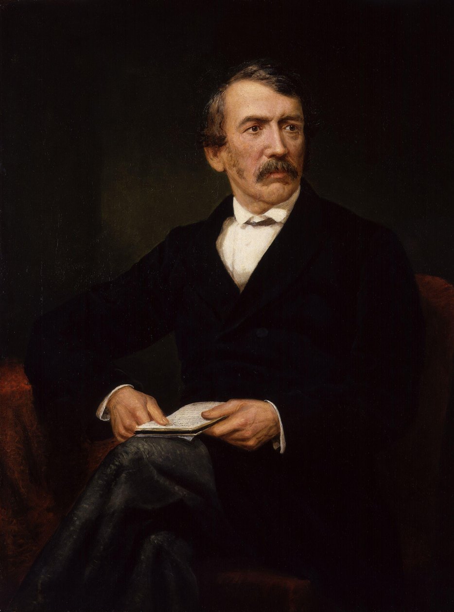 David Livingstone (posthumes Porträt) von Frederick Havill