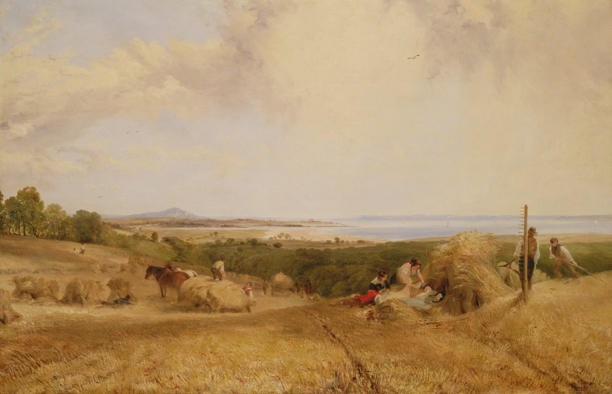 Das Erntefeld, 1846 von Frederick Richard Lee