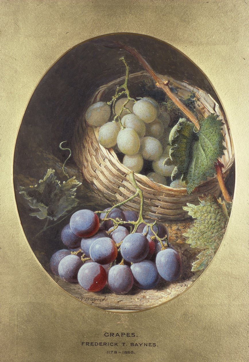 Rote und weiße Trauben von Frederick Thomas Baynes