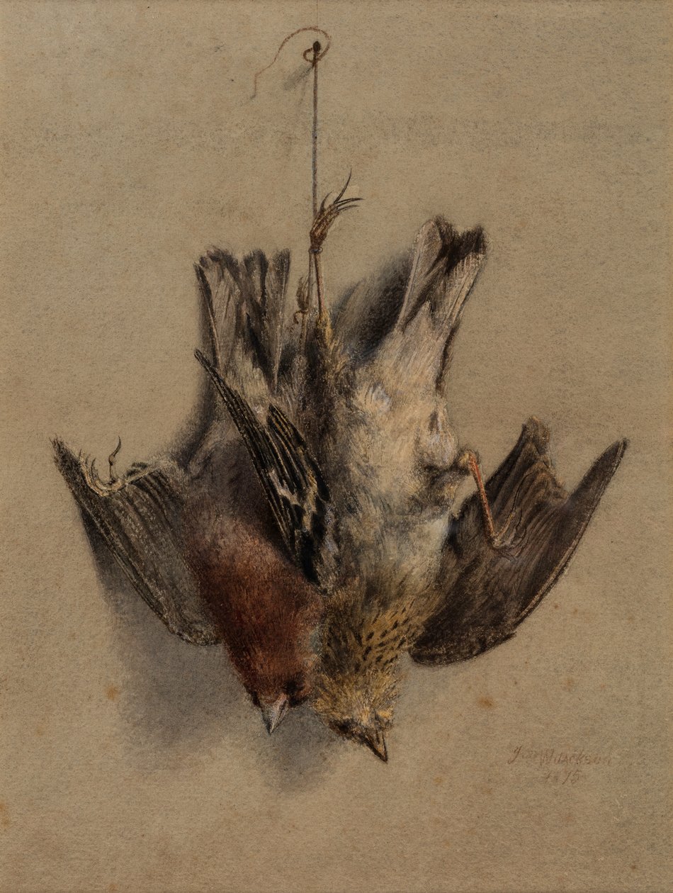 Stillleben, Lerchen von Frederick William Jackson