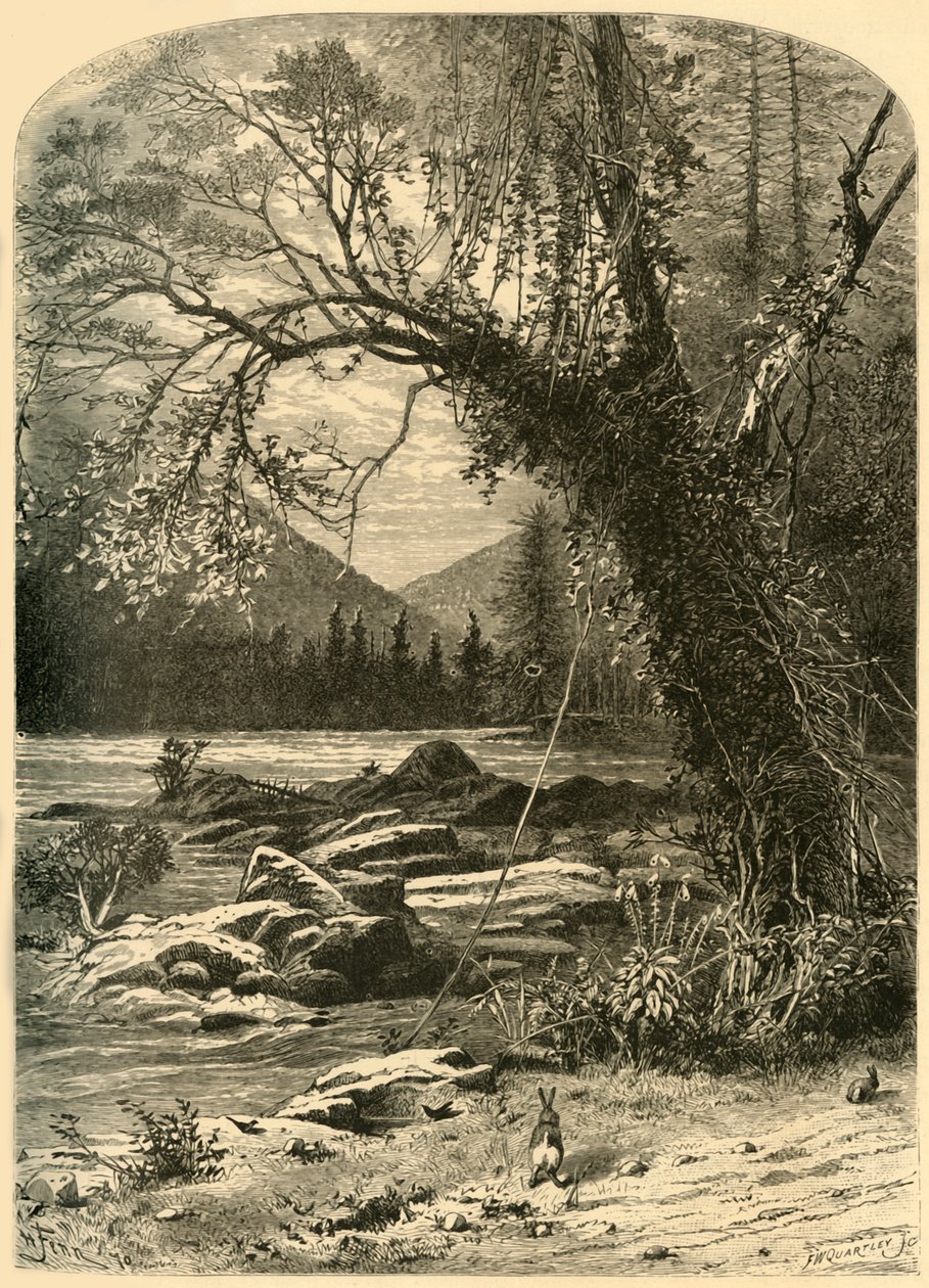 Der French Broad von Frederick William Quartley