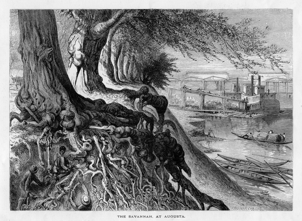 Die Savannah bei Augusta von Frederick William Quartley
