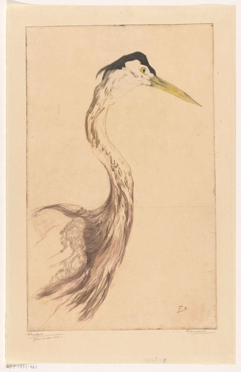 Reiher von Frederika Henriëtte Broeksmit (signed by artist)