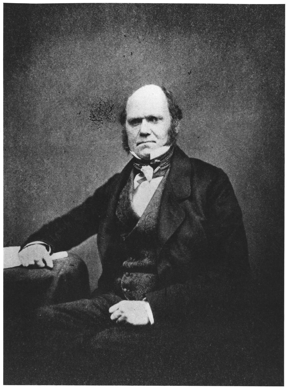 Porträt von Charles Darwin (1809-82) von French Photographer