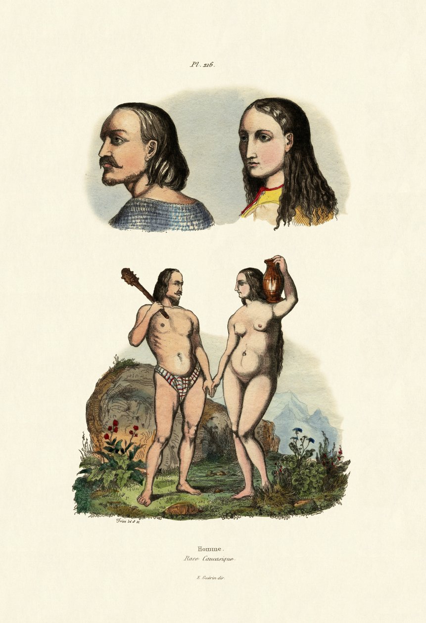 Kaukasier von French School