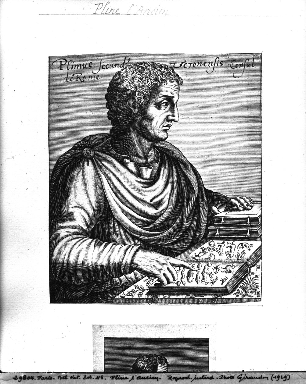 Plinius der Ältere (23-79 n. Chr.) von French School