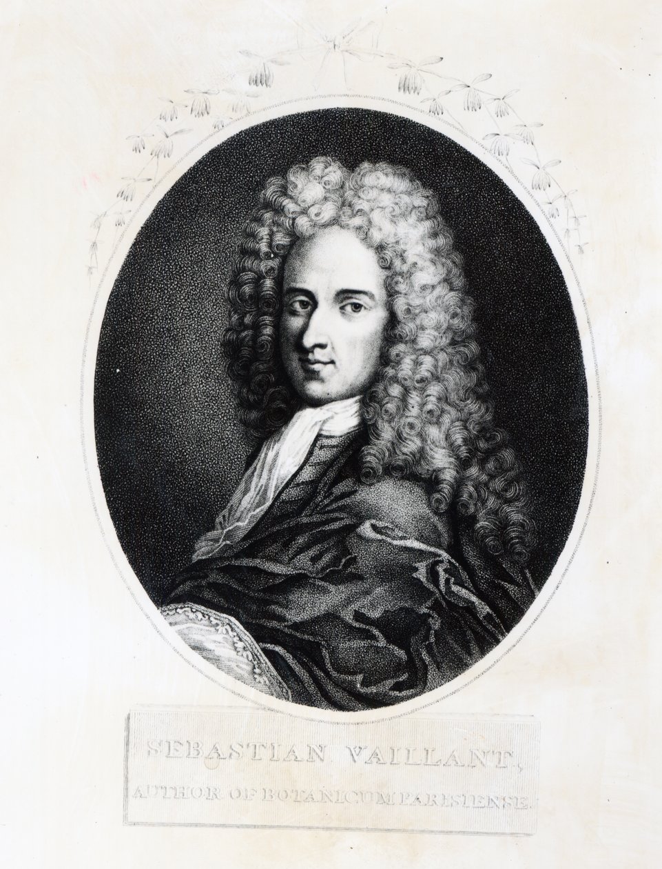 Sebastien Vaillant von French School