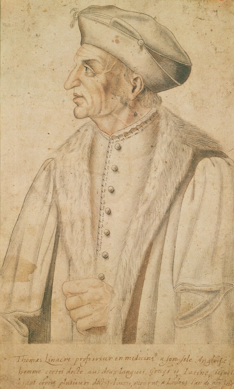 Thomas Linacre von French School