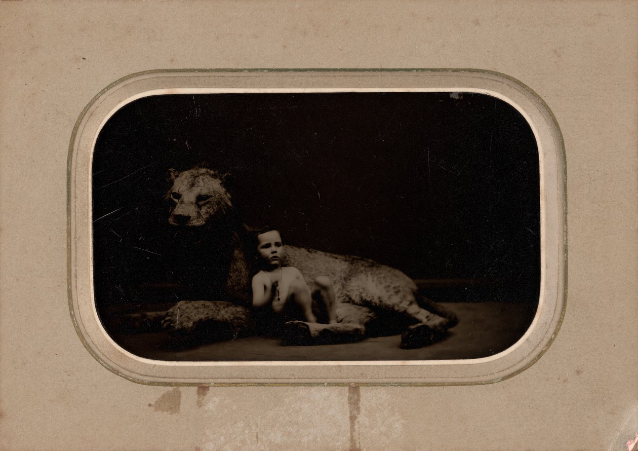 Porträt eines Kindes von French 19th Century