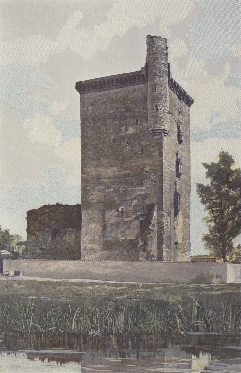 Lesparre, Donjon des Schlosses, Gesamtansicht Westen von French Photographer