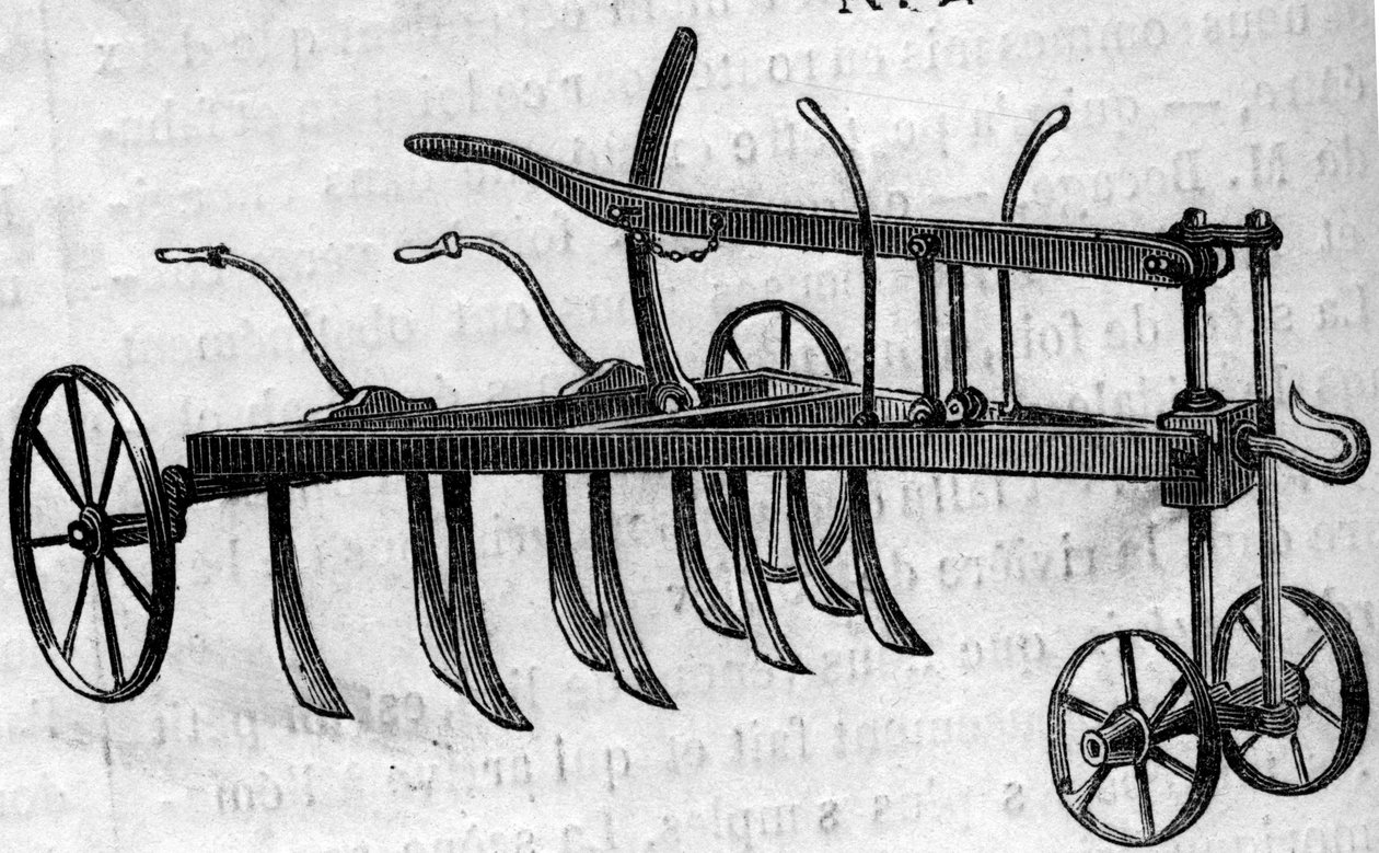 Landwirtschaftsmaschine: ein Extirpator-Scarifier von French School