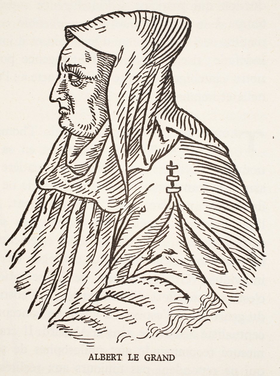 Albertus Magnus von French School