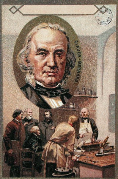 Claude Bernard (1813-78) von French School
