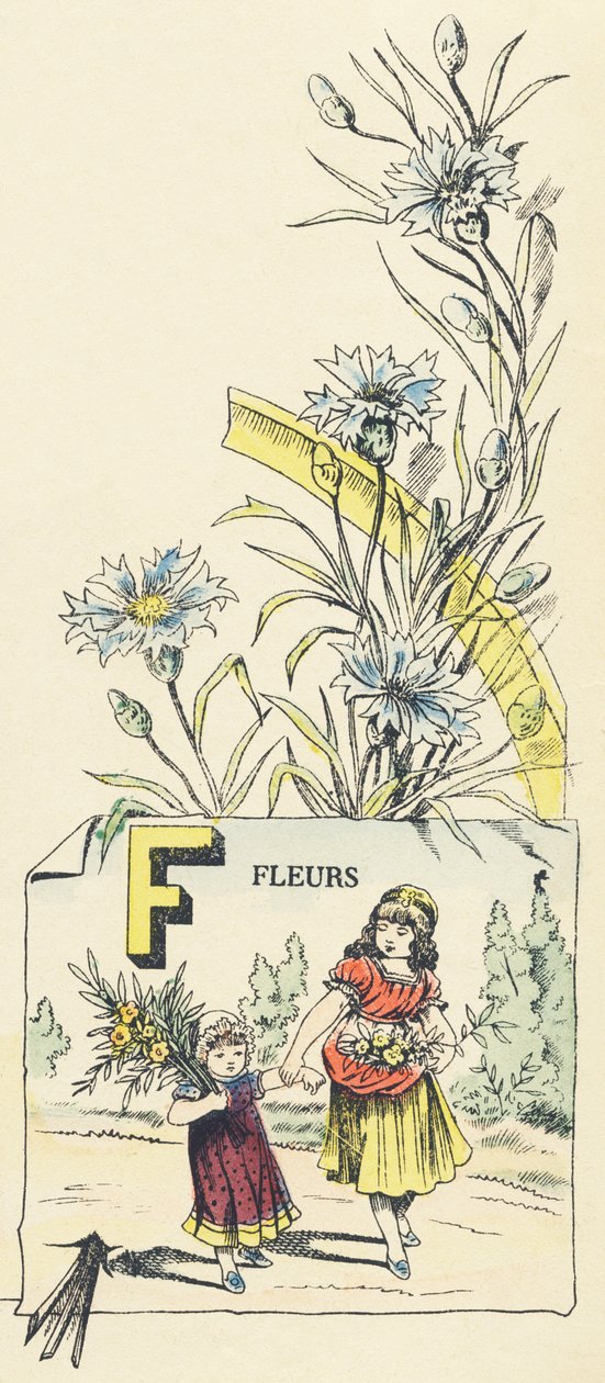 F: Blumen von French School
