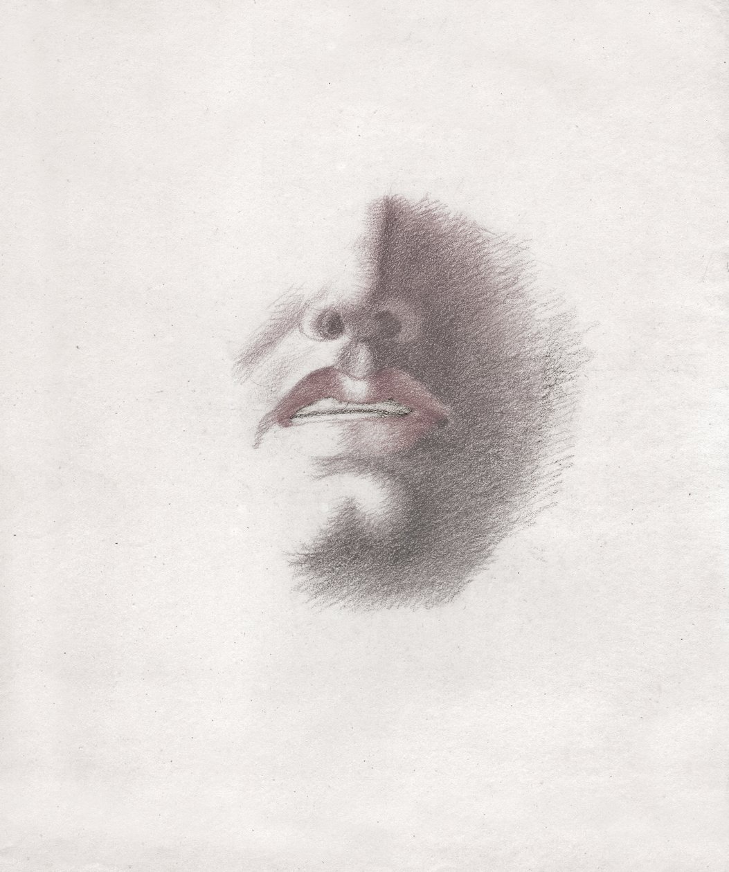 Gesicht eines Mannes (Zeichnung, ca. 1830) von French School