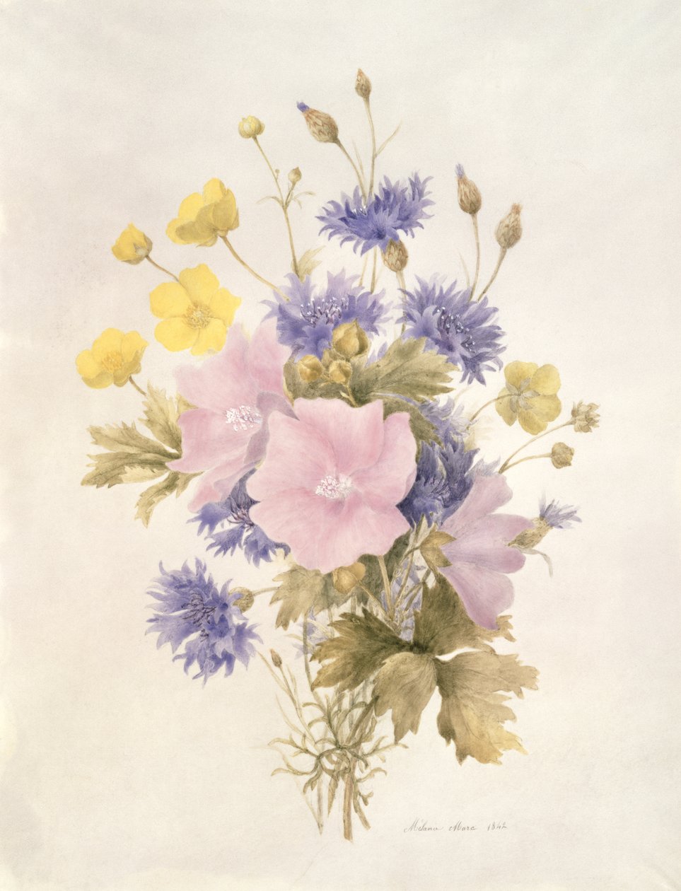 Feldblumen, 1842 von French School