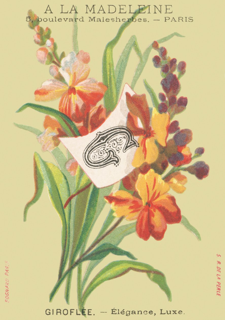 Giroflee - Eleganz, Luxus von French School