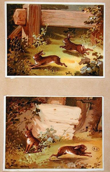 Hasen und Kaninchen, ca. 1890 von French School
