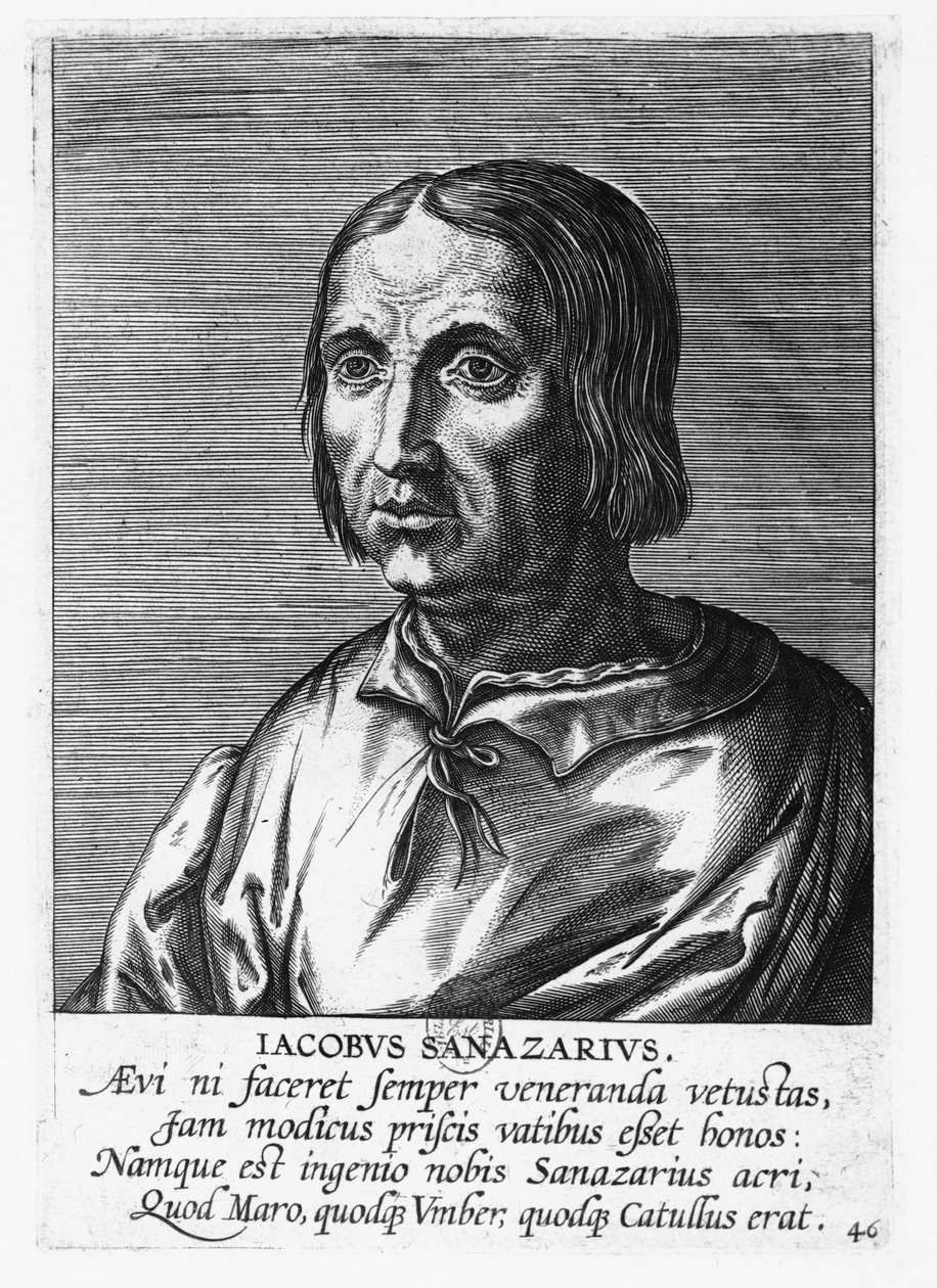 Jacopo Sannazaro (Gravur) von French School