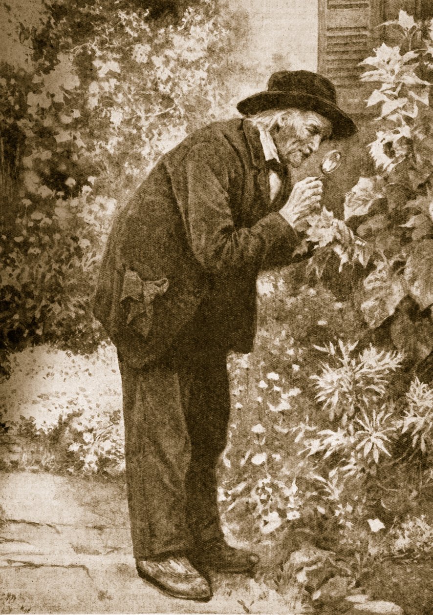 Jean-Henri Fabre beobachtet Insekten von French School