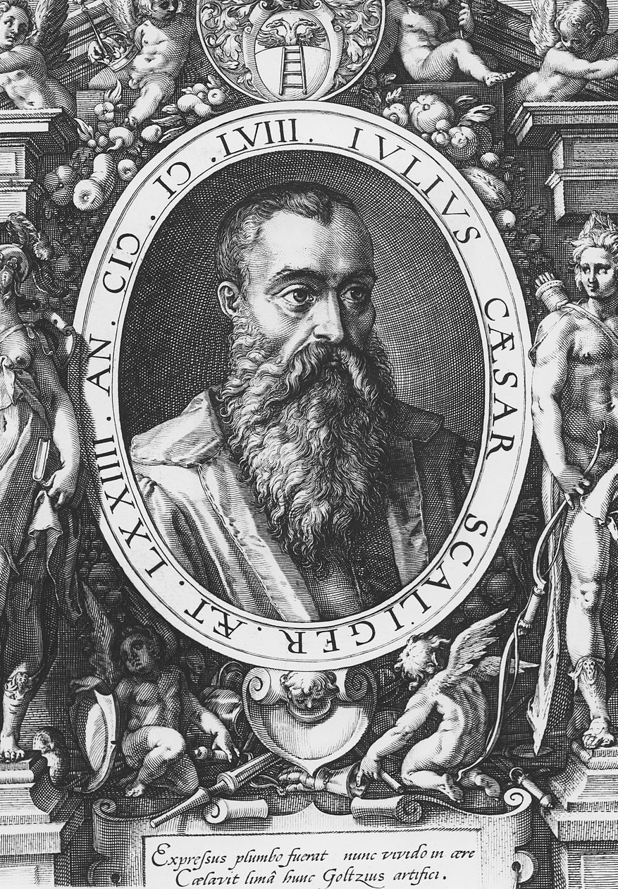 Julius Caesar Scaliger (Stich) von French School