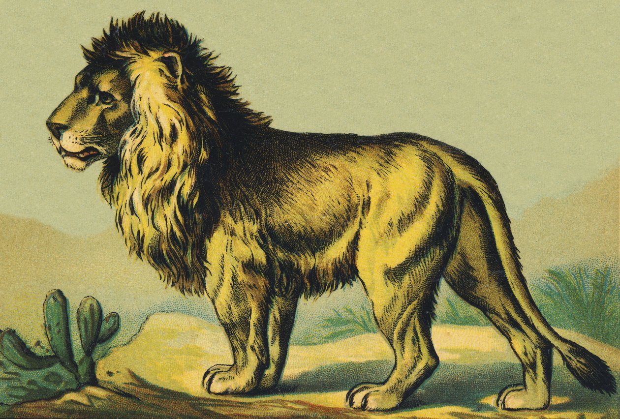 L wie Löwe von French School