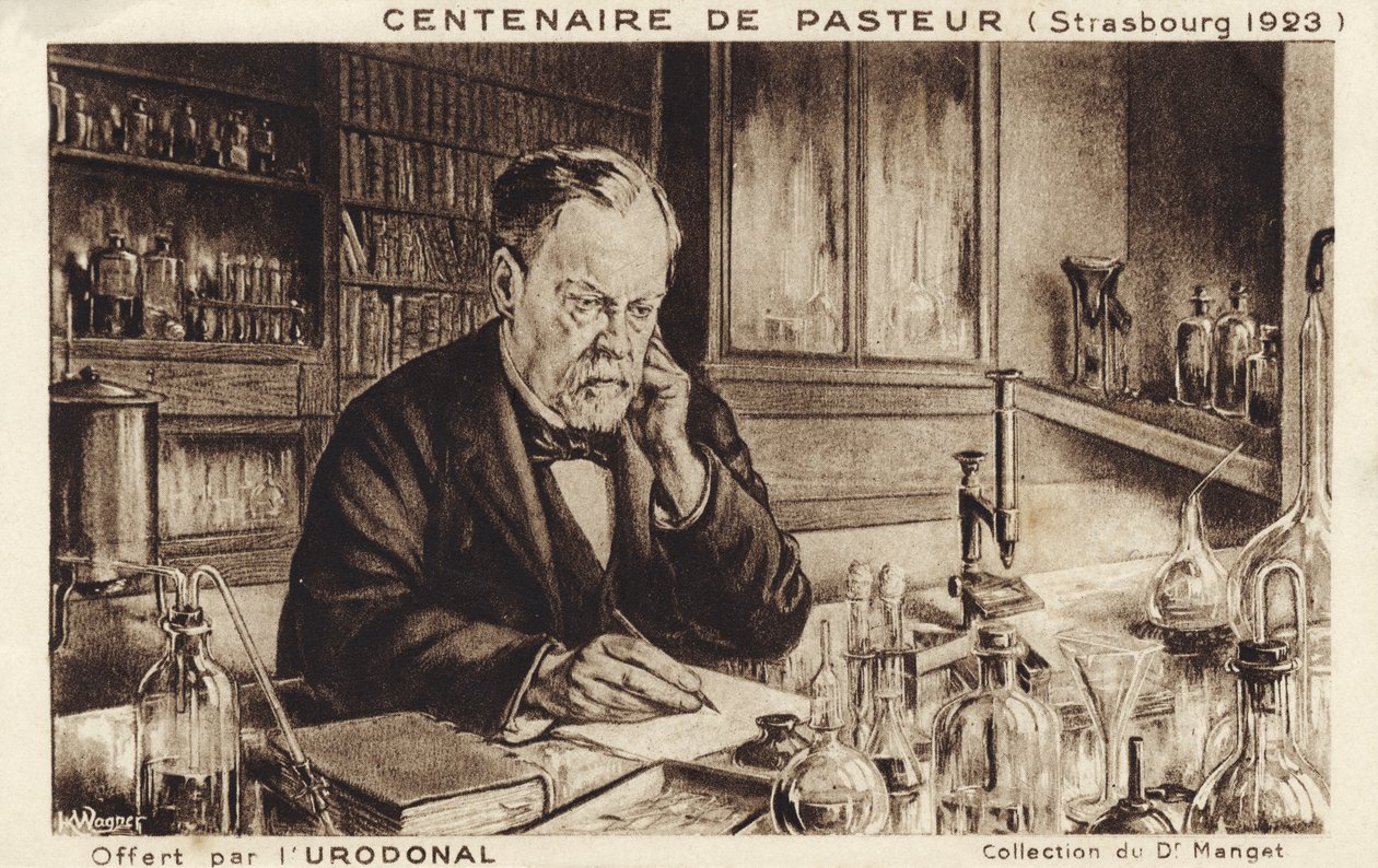 Louis Pasteur von French School