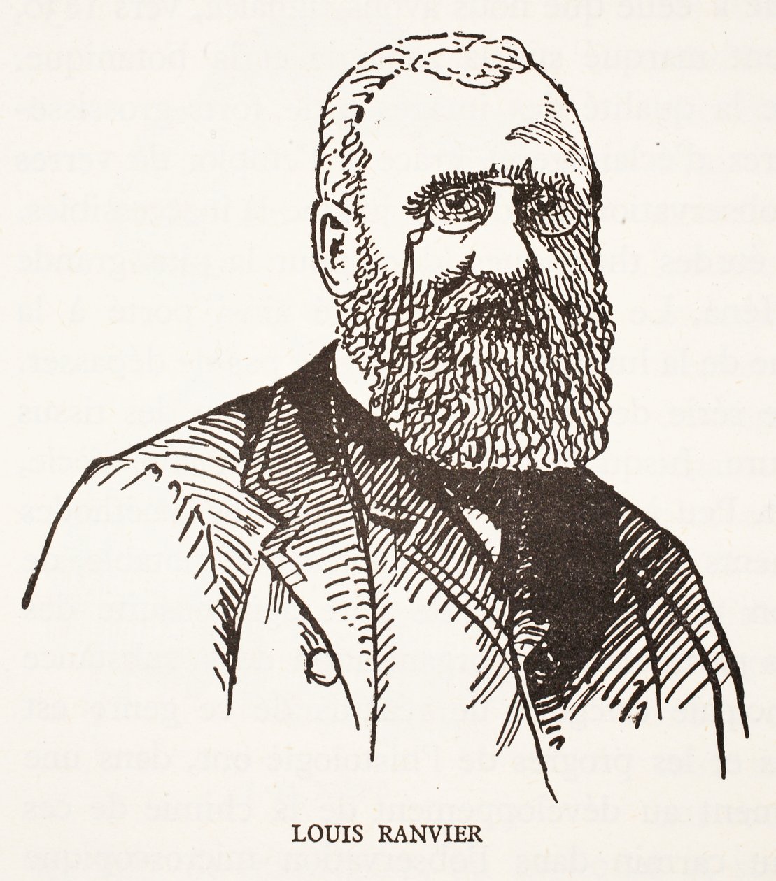 Louis Ranvier von French School