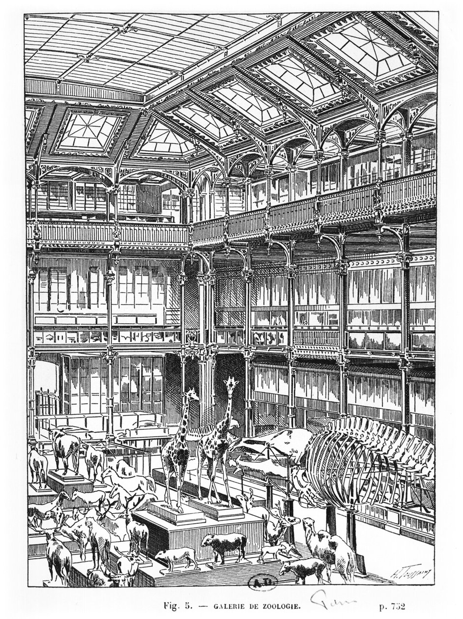 Naturkundemuseum in Paris von French School