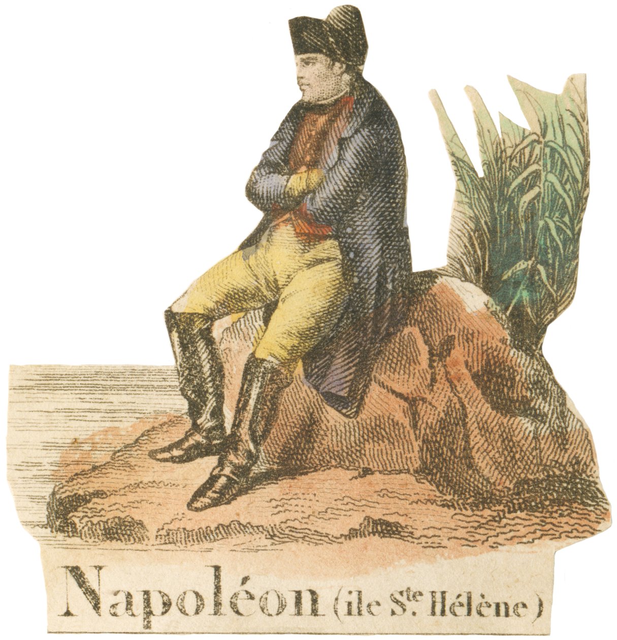 N wie Napoleon von French School