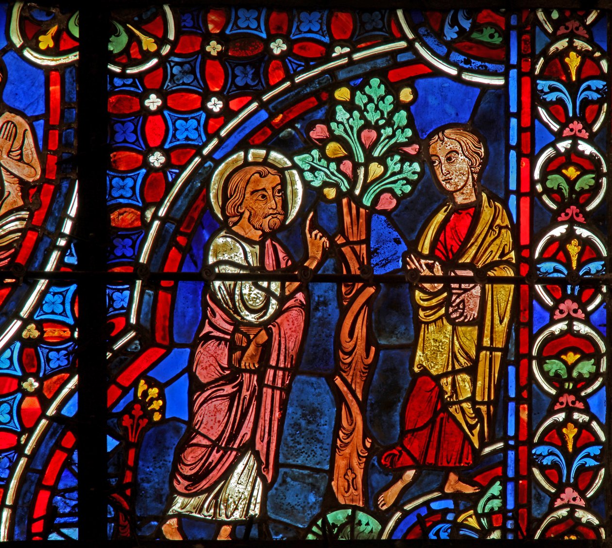Philippus, Nathanael, Feigenbaum von French School