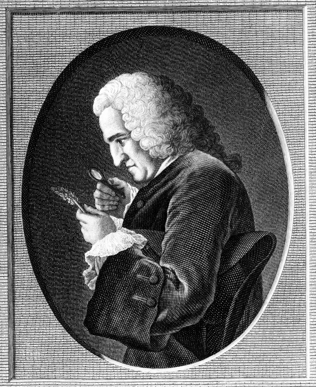 Porträt von Bernard de Jussieu von French School