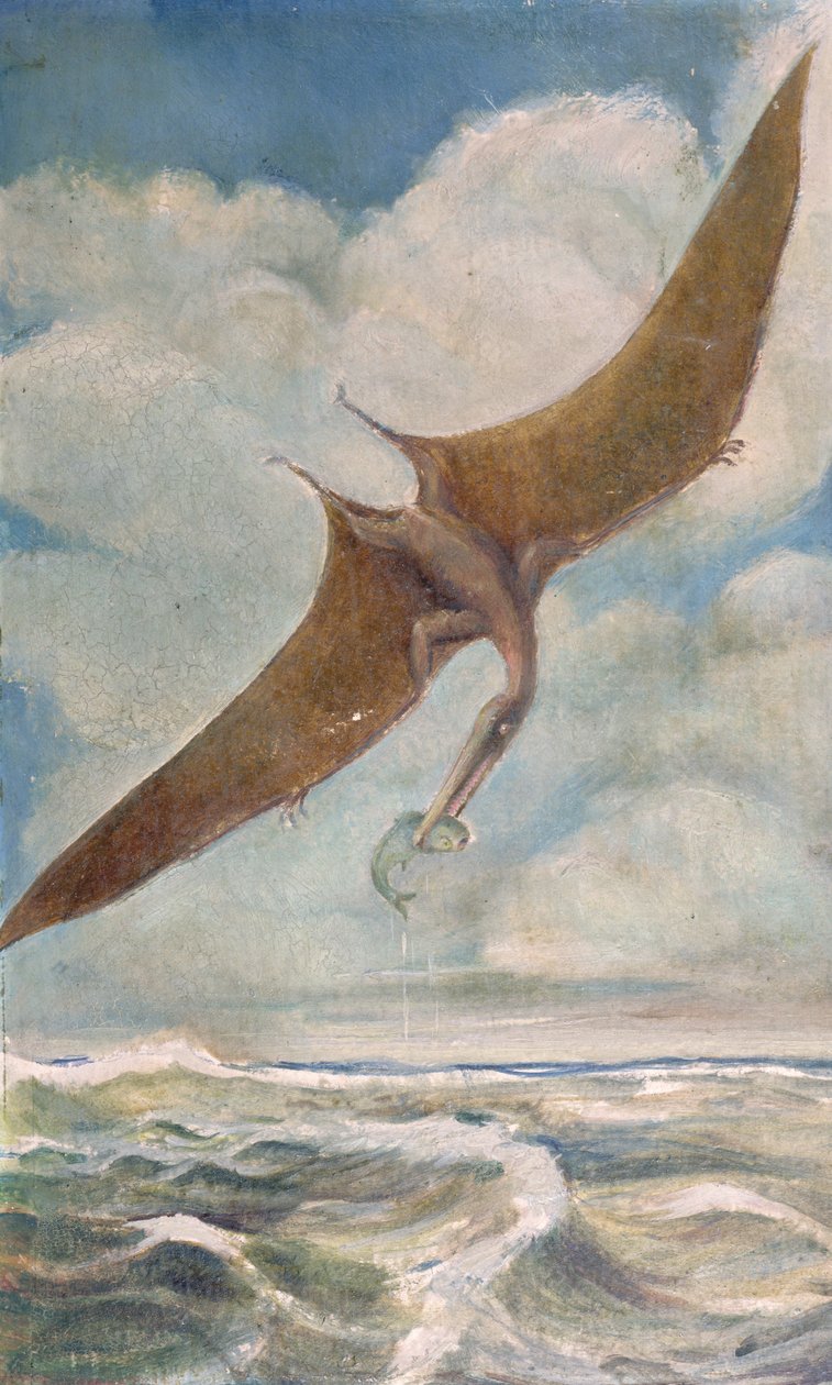 Pterodaktylus beim Fischen von French School