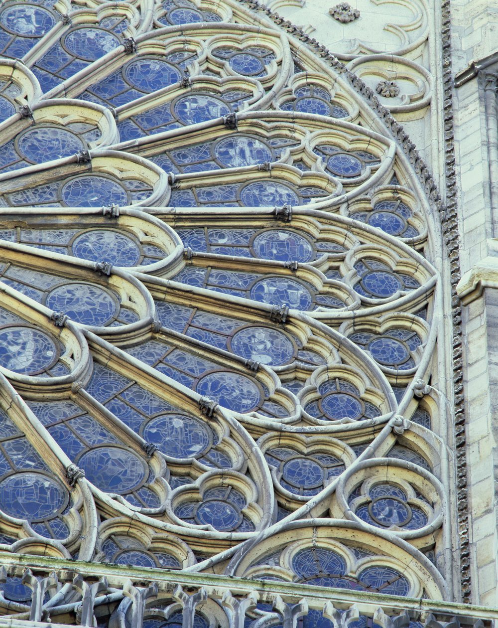 Südrosette von French School
