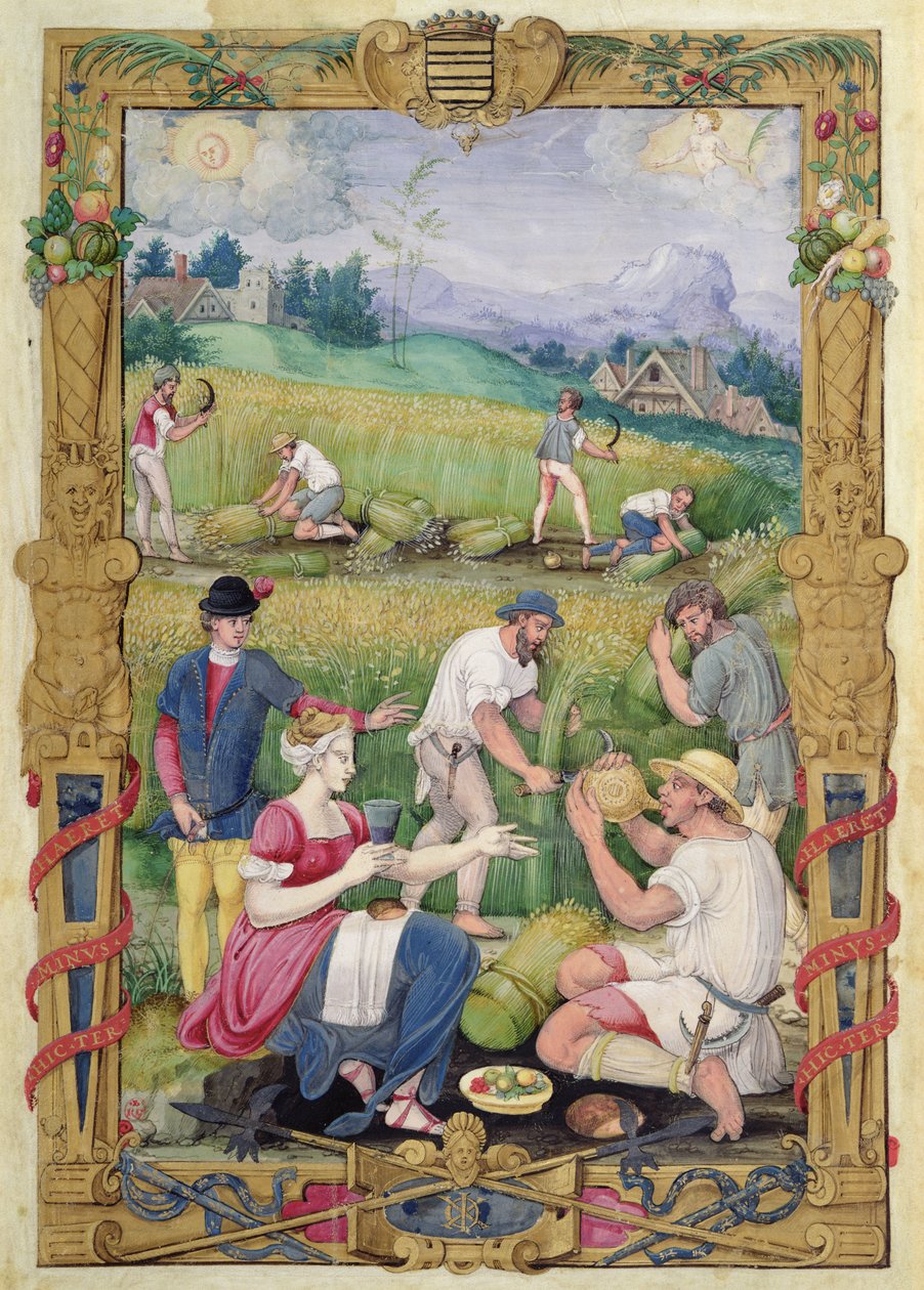 Der Monat August: Die Ernte von French School