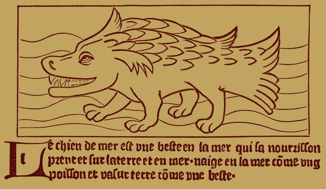Der Seehund von French School