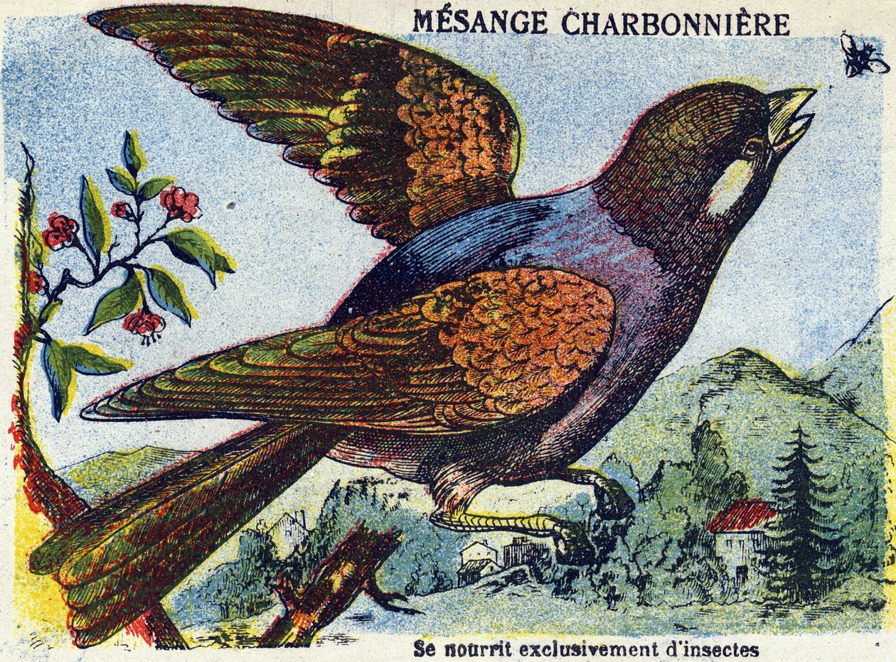Unbekanntes Bild von French School