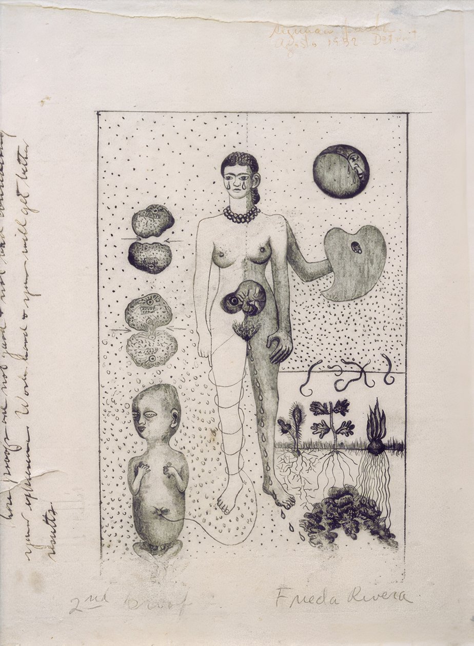 Frida und die Fehlgeburt von Frida Kahlo